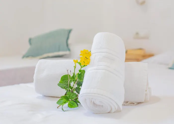 Binicasal וילה *