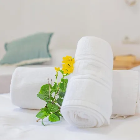 Binicasal * Sant Lluís