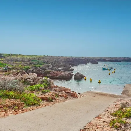 Binicasal فيلة